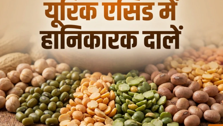 यूरिक एसिड की समस्या में कौन सी दालें हैं फायदेमंद और किनसे करना चाहिए परहेज?