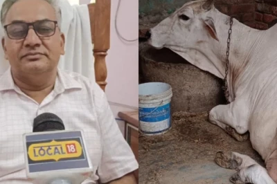 देसी गाय का दूध: कैंसर जैसी गंभीर बीमारियों से बचाव में मददगार, जानें इसके स्वास्थ्य लाभ