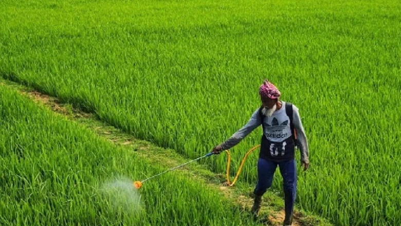 मध्य प्रदेश के किसानों के लिए सुनहरा मौका, मुफ्त बीज और कृषि किट का उठाएं लाभ