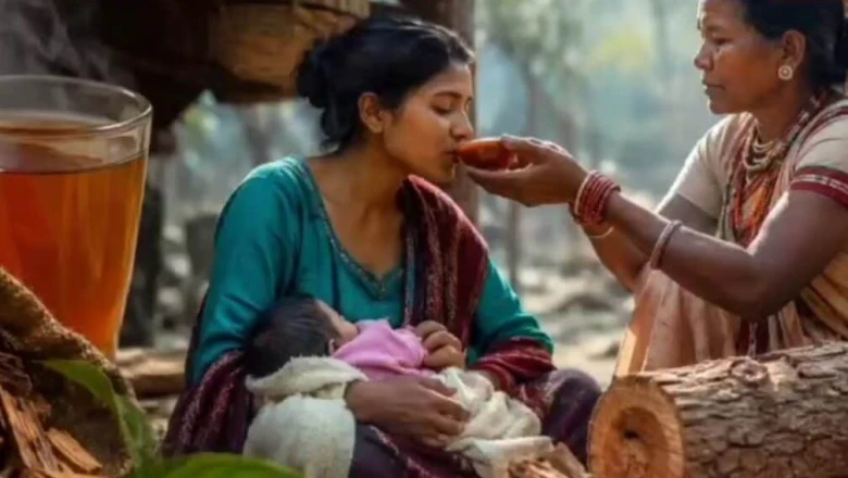 आयुर्वेद का अद्भुत खजाना: प्रसव के बाद महिलाओं के लिए संजीवनी है खैर का पेड़