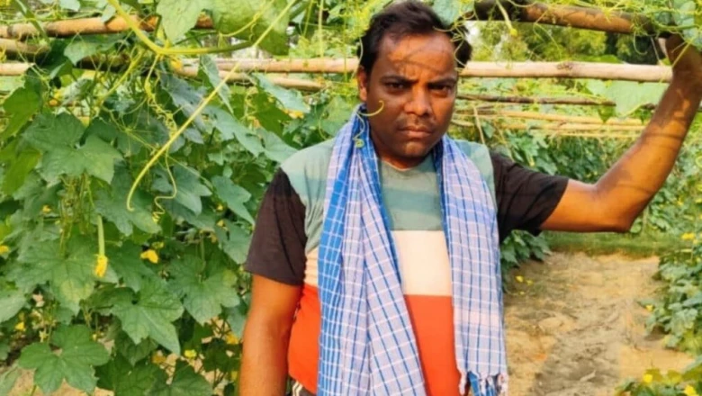 मचान खेती का कमाल: सिर्फ 5 हजार की लागत से किसान ने कमाया डेढ़ लाख का मुनाफा