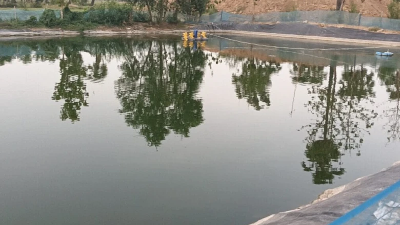 गया में मछली पालन को मिलेगा बढ़ावा: बीज उत्पादन की 12 इकाइयों पर सरकार देगी 70 फीसदी तक सब्सिडी