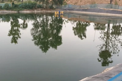 गया में मछली पालन को मिलेगा बढ़ावा: बीज उत्पादन की 12 इकाइयों पर सरकार देगी 70 फीसदी तक सब्सिडी