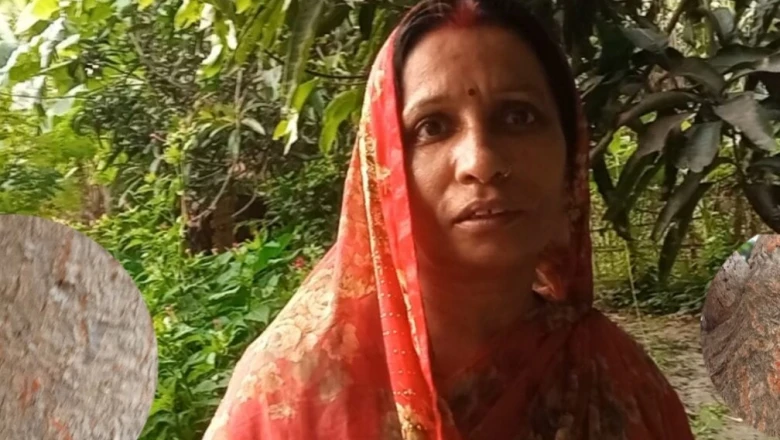लाल चींटी के काटने पर तुरंत राहत पाने के प्रभावी घरेलू नुस्खे