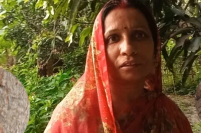 लाल चींटी के काटने पर तुरंत राहत पाने के प्रभावी घरेलू नुस्खे
