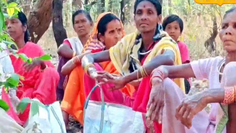 35 साल बाद बदली बालाघाट की तस्वीर, नक्सलियों का मुद्दा अब बना आदिवासियों की कमाई का जरिया