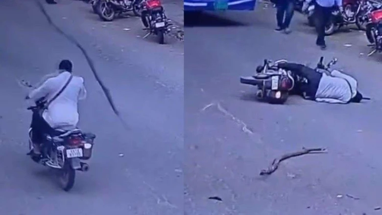 बेंगलुरु: बाइक सवार के सिर पर गिरी पेड़ की सूखी टहनी, अस्पताल में जिंदगी और मौत से लड़ रहा है शख्स
