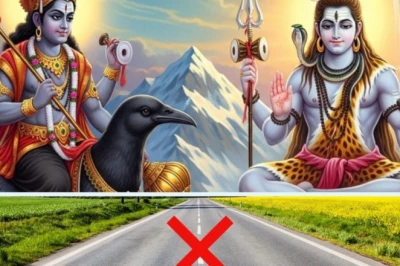 शनि प्रदोष व्रत: कल 40 मिनट का है बेहद खास मुहूर्त, इस दिशा में यात्रा से बचें