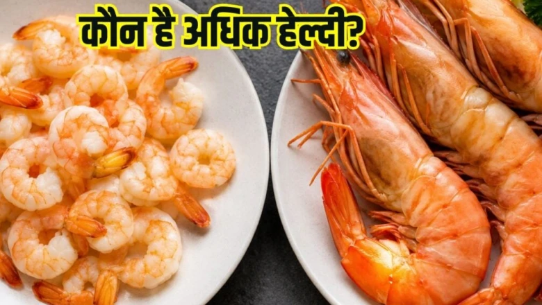 श्रिम्प और प्रॉन्स में क्या है मुख्य अंतर, कौन सा विकल्प है ज्यादा पौष्टिक और सेहतमंद