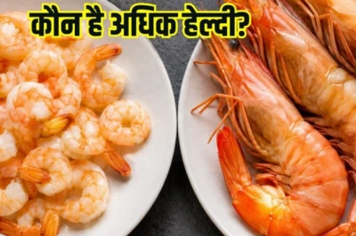 श्रिम्प और प्रॉन्स में क्या है मुख्य अंतर, कौन सा विकल्प है ज्यादा पौष्टिक और सेहतमंद