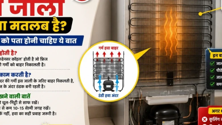 फ्रिज के पीछे की जाली क्यों गर्म हो जाती है? जानिए कब यह सामान्य है और कब है बड़े खतरे का संकेत
