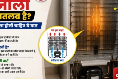 फ्रिज के पीछे की जाली क्यों गर्म हो जाती है? जानिए कब यह सामान्य है और कब है बड़े खतरे का संकेत