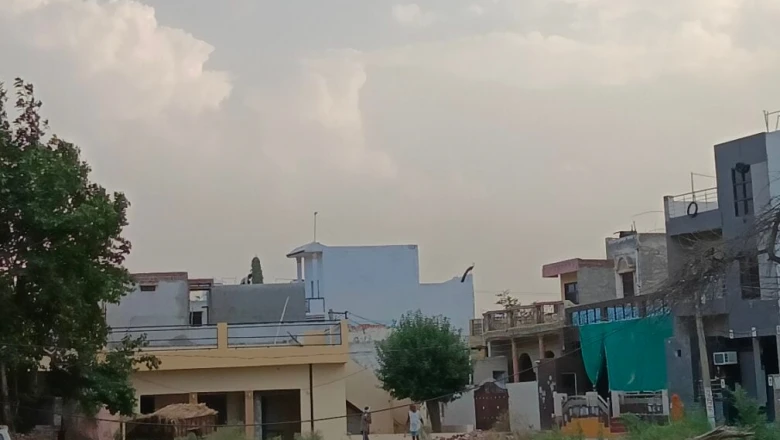 फरीदाबाद: कभी गन्ने की मिठास से महकता था यह गांव, आखिर क्यों किसानों ने हमेशा के लिए बदल ली अपनी खेती?