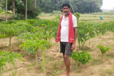 देवघर के किसान अंबिका कुशवाहा का कमाल, एक ही खेत से ले रहे ओल और पपीते की दोहरी फसल