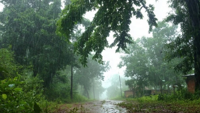 झारखंड के मौसम में बड़ा बदलाव, पाकुड़ और गिरिडीह में हुई बारिश, जानिए पलामू और गढ़वा का हाल