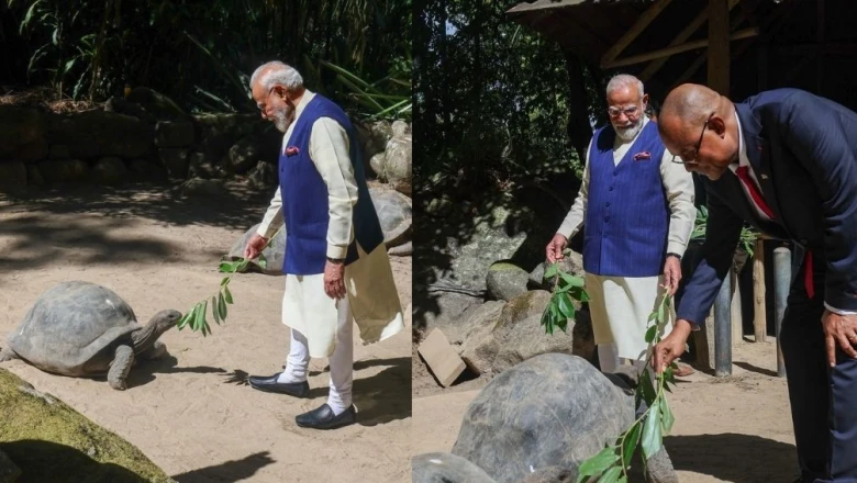 सेशेल्स दौरे पर प्रधानमंत्री नरेंद्र मोदी: 194 साल के 'जोनाथन' को खिलाया खाना, नेशनल डे समारोह में होंगे शामिल