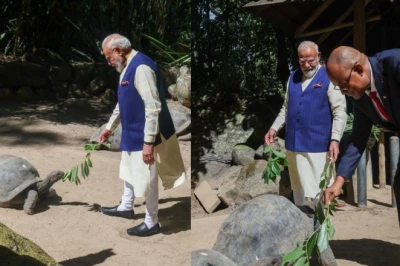 सेशेल्स दौरे पर प्रधानमंत्री नरेंद्र मोदी: 194 साल के 'जोनाथन' को खिलाया खाना, नेशनल डे समारोह में होंगे शामिल