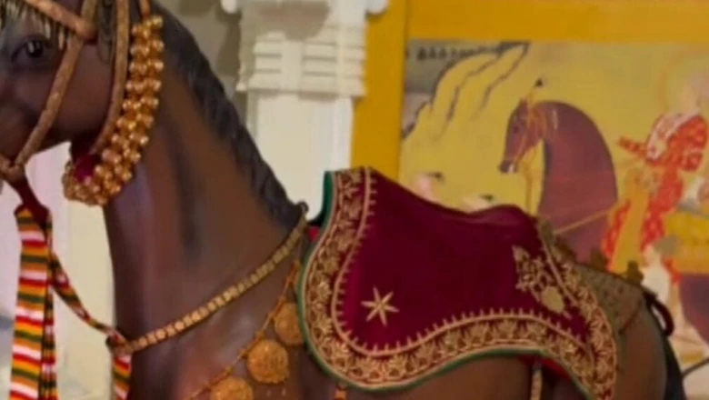 आगे-आगे कोतल घोड़लो: 600 घोड़ों के सौदे और युद्ध की अनोखी कहानी में छिपी है ऐतिहासिक कूटनीति
