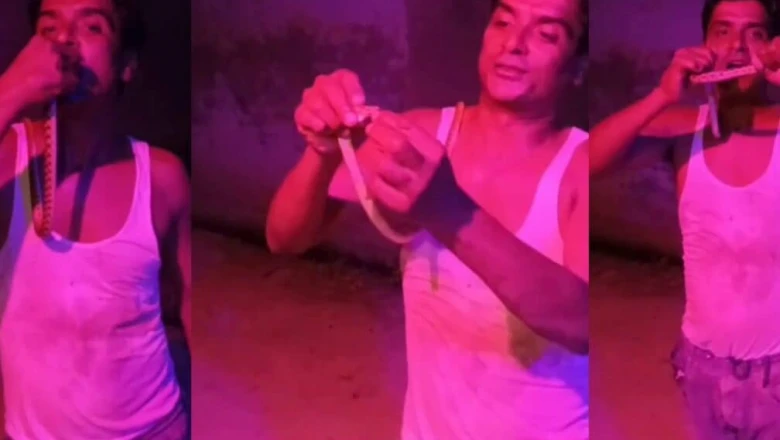 बिजनौर: सोशल मीडिया पर शोहरत पाने के चक्कर में युवक ने मुंह में डाला मरा हुआ सांप, हालत गंभीर