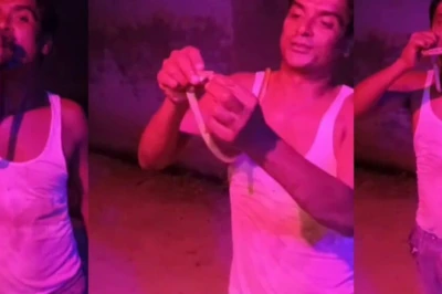 बिजनौर: सोशल मीडिया पर शोहरत पाने के चक्कर में युवक ने मुंह में डाला मरा हुआ सांप, हालत गंभीर