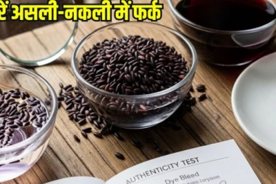 असली या नकली काले चावल? घर पर इन आसान तरीकों से करें पहचान