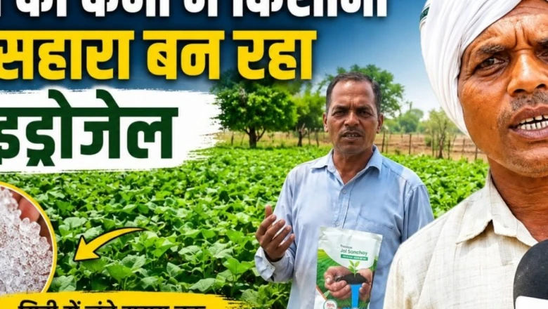 खेती में पानी की समस्या का पक्का समाधान, किसानों के लिए वरदान बना हाइड्रोजेल