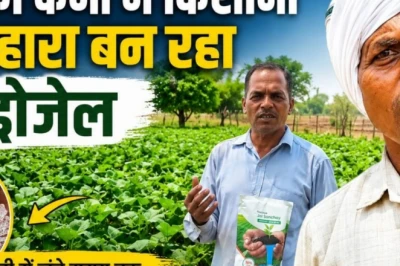 खेती में पानी की समस्या का पक्का समाधान, किसानों के लिए वरदान बना हाइड्रोजेल