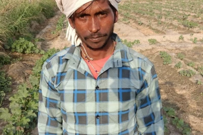 फरीदाबाद: भिंडी की फसल पर रहस्यमयी कीटों का कहर, किसान को हुआ भारी नुकसान