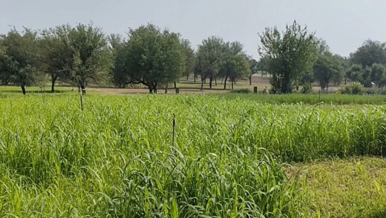 जैतपुरा की बदली तकदीर: खेती को छोड़ औद्योगिक केंद्र बनकर उभरा गांव, 250 से ज्यादा फैक्ट्रियों से मिली नई पहचान