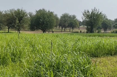 जैतपुरा की बदली तकदीर: खेती को छोड़ औद्योगिक केंद्र बनकर उभरा गांव, 250 से ज्यादा फैक्ट्रियों से मिली नई पहचान