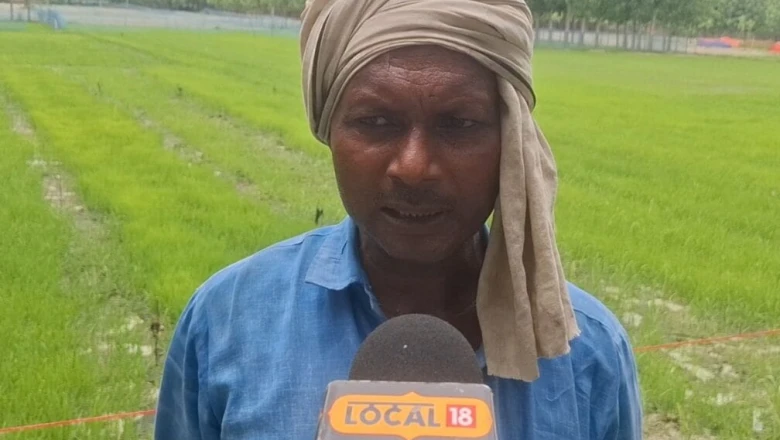 बहराइच के किसान का अनोखा प्रयोग, एक साथ 18 किस्मों की धान की खेती से बदल दी अपनी तकदीर