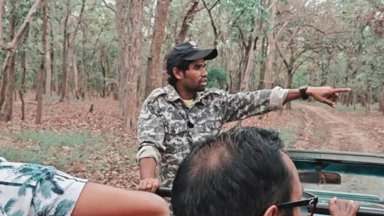 वाल्मीकि टाइगर रिज़र्व में सफारी पर लगा ब्रेक, मानसून और वन्य जीवों की सुरक्षा के चलते लिया गया निर्णय
