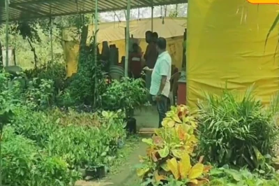 लातेहार के पंकज ने प्रकृति प्रेम से खड़ा किया बड़ा कारोबार, नर्सरी से हर महीने हो रही है ₹50,000 तक की बंपर कमाई