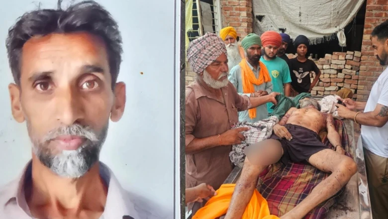 पंजाब के मोगा में दिल दहला देने वाली घटना: आवारा कुत्तों के झुंड ने मजदूर को नोचकर मार डाला