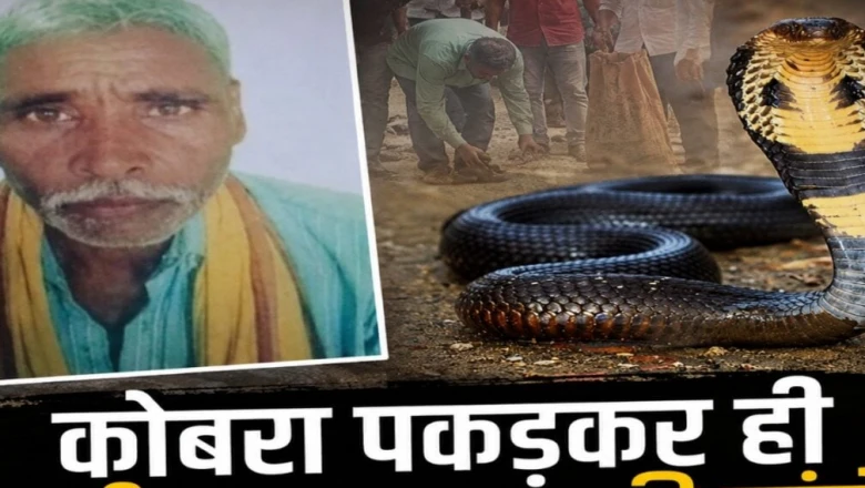 गोंडा में बहादुरी की मिसाल: कोबरा के डसने के बाद भी सपेरे ने बचाई दूसरों की जान