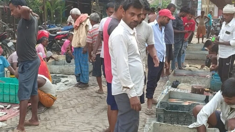 पूर्वी चंपारण का मशहूर संग्रामपुर मछली बाजार: यहां मिलती है ताजी और सस्ती मछलियों की पूरी रेंज