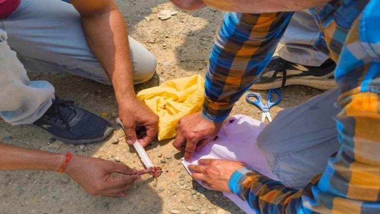 हिमाचल में नशा तस्करी पर प्रहार: नूरपुर में 223 ग्राम चिट्टे के साथ तीन तस्कर गिरफ्तार