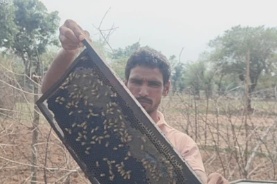 मजदूरी से शुरुआत और सालाना 12 लाख की कमाई, अखिलेश यादव की प्रेरणादायक सफलता की कहानी