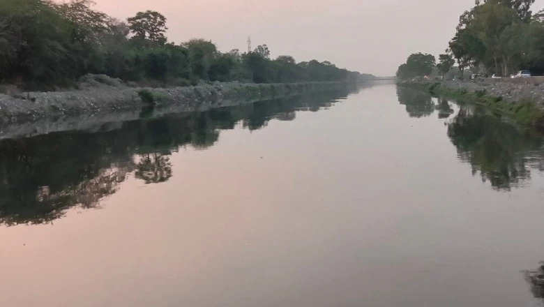 फरीदाबाद की सिंचाई नहर बनी सुसाइड स्पॉट, खुदकुशी की घटनाओं से सहमा इलाका