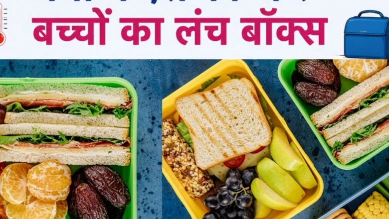 समर लंच बॉक्स: गर्मियों में स्कूल के खाने को ताजा रखने के उपाय और सावधानियां