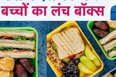 समर लंच बॉक्स: गर्मियों में स्कूल के खाने को ताजा रखने के उपाय और सावधानियां