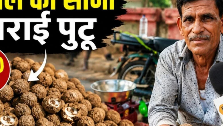छत्तीसगढ़ के बाजारों में पहुंचा जंगल का सोना: ₹250 पाव मिल रहा सराई पुटू, स्वाद में मटन-चिकन को भी दे रहा मात