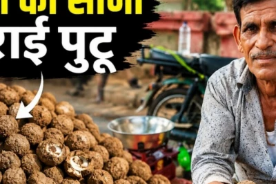 छत्तीसगढ़ के बाजारों में पहुंचा जंगल का सोना: ₹250 पाव मिल रहा सराई पुटू, स्वाद में मटन-चिकन को भी दे रहा मात