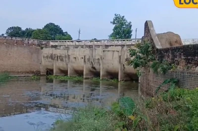 महराजगंज का अमड़ी पुल: सिविल इंजीनियरिंग का अनोखा संगम जहां एक साथ बहती हैं नदी और नहर