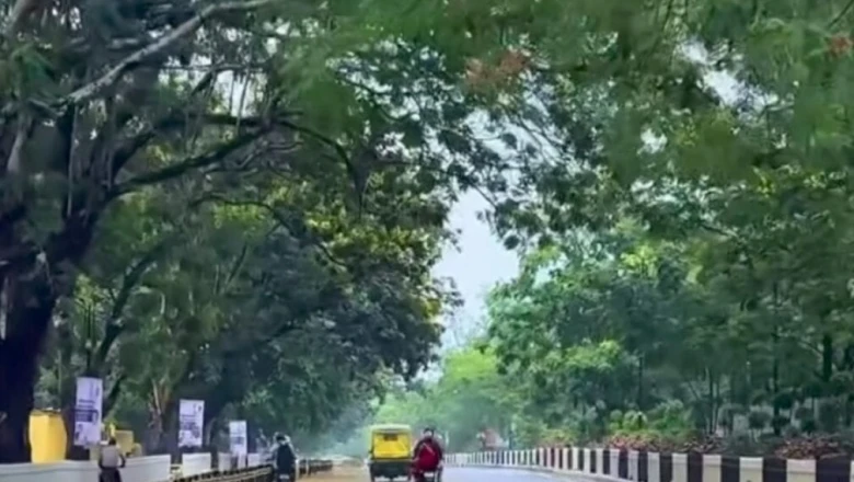 बारिश में किसी फिल्मी सेट जैसी नजर आती हैं रांची की ये पॉश कॉलोनियां, आशियाना बनाने के लिए चाहिए मोटा बजट