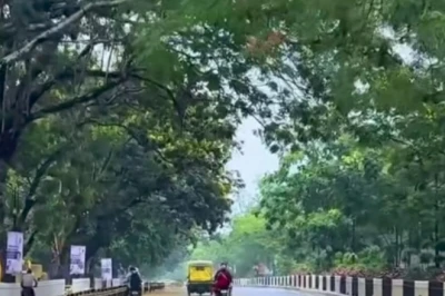 बारिश में किसी फिल्मी सेट जैसी नजर आती हैं रांची की ये पॉश कॉलोनियां, आशियाना बनाने के लिए चाहिए मोटा बजट