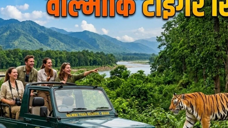 पर्यटकों के लिए पहली पसंद बना वाल्मीकि टाइगर रिजर्व, तीन साल में 14 लाख से ज्यादा सैलानियों ने भरी हुंकार