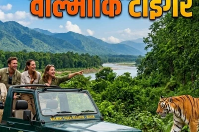 पर्यटकों के लिए पहली पसंद बना वाल्मीकि टाइगर रिजर्व, तीन साल में 14 लाख से ज्यादा सैलानियों ने भरी हुंकार
