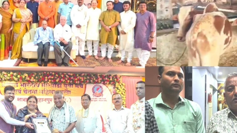 बुरहानपुर: घर के खर्च से बचत कर शुरू की गौसेवा, आज 200 लोगों के सहयोग से 80 गौवंश को मिल रहा नया जीवन