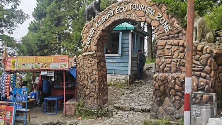 नैनीताल की नयना पीक घूमने का है प्लान, तो पहले जान लें वन विभाग का यह नया नियम